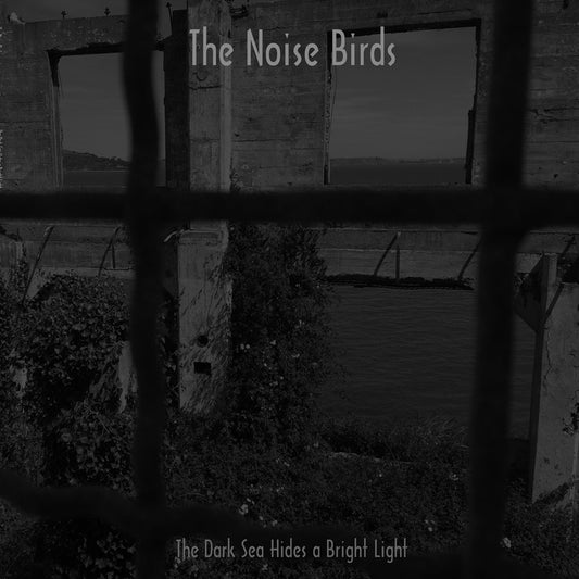 Noise Birds The LP - The Dark Sea Hides a Bright Light