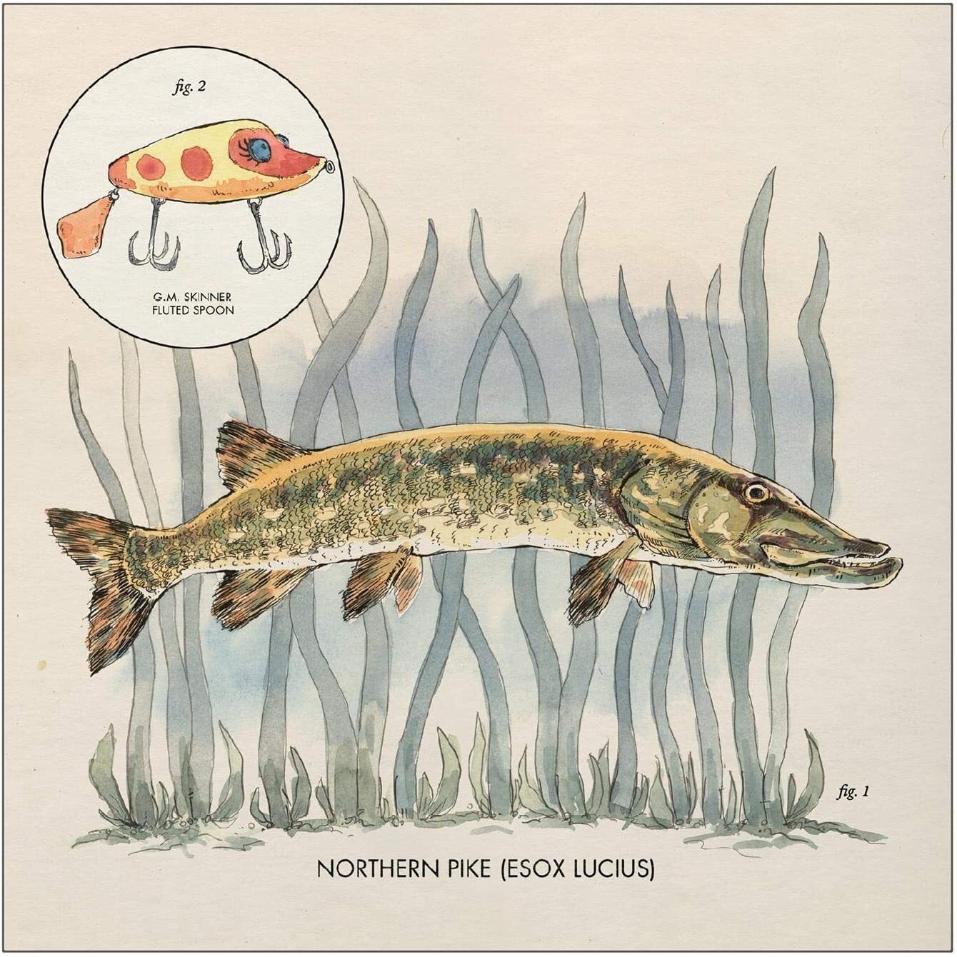 Nick Lowe LP - Lay It On Me