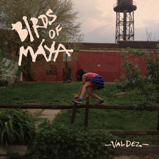 Birds Of Maya LP - Valdez