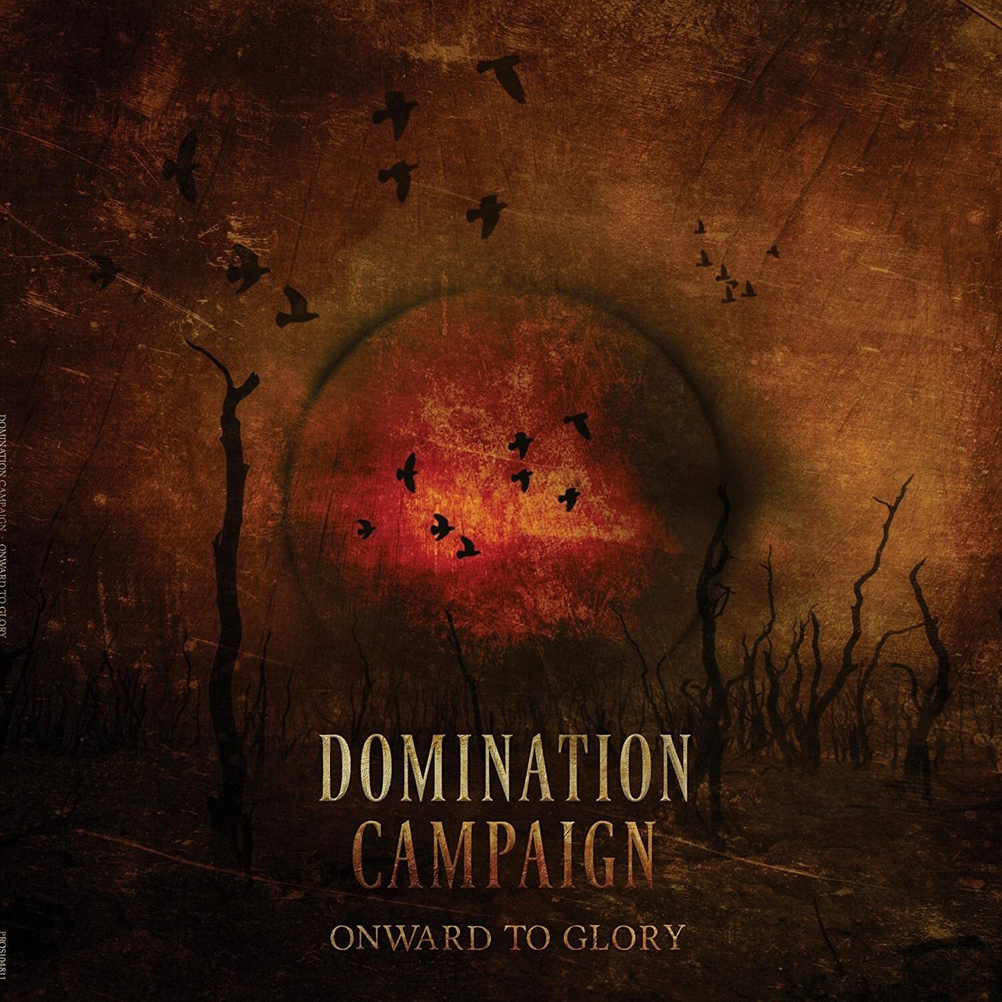 Domination Campaign LP - Onward To Glory