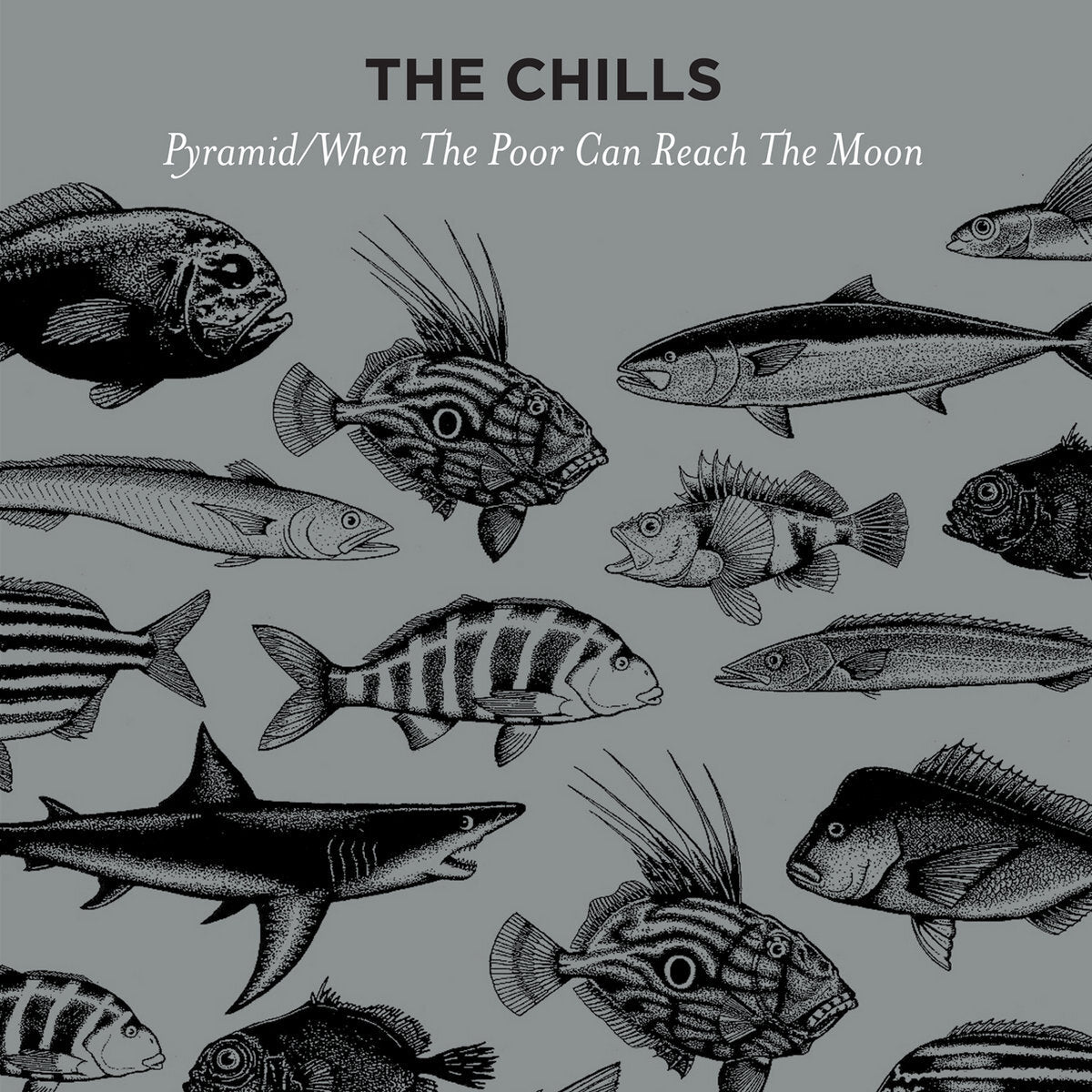 Chills LP - Pyramid