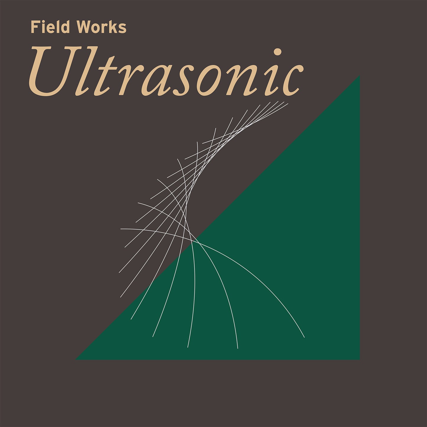 Field Works LP - Ultrasonic