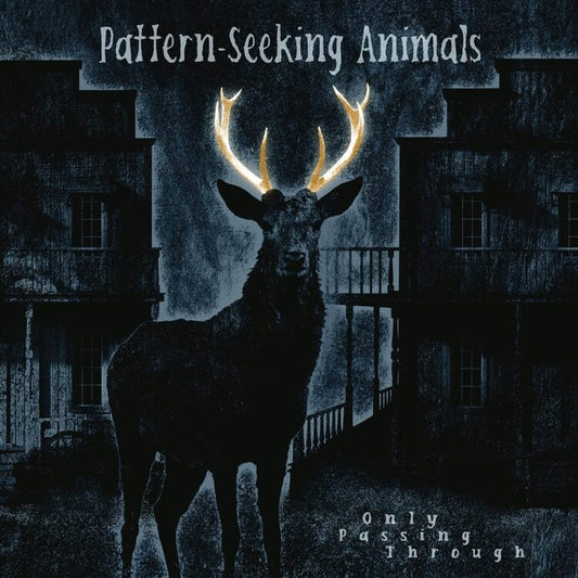 Pattern-Seeking Animals LP - Only Passing Through (Gatefold