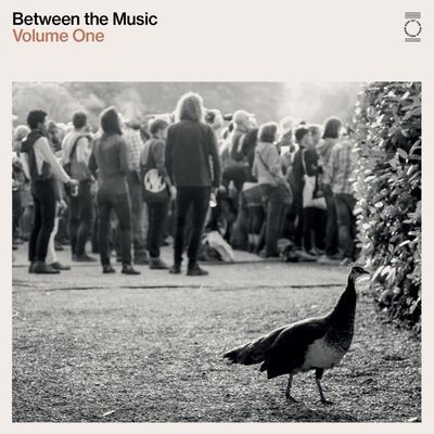 Various Artists LP - Between the Music- Volume 1 | Buy Now For 54.99