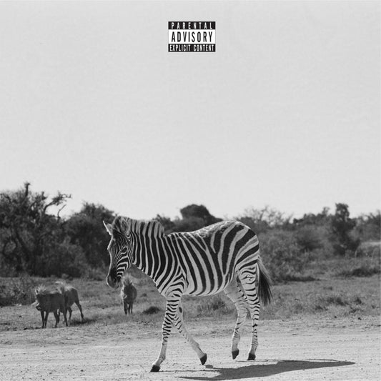 Louis Vi LP - Earthling