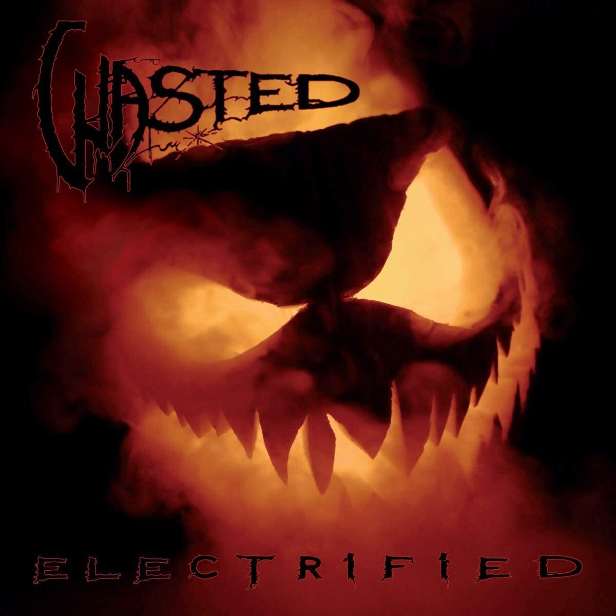 Wasted LP - Electrified (Vinyl) | Buy Now For 37.99