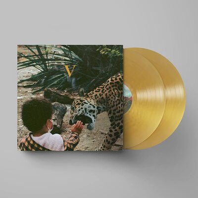Unknown Mortal Orchestra LP - V | Buy Now For 54.99
