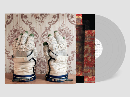 David Sylvian & Stephan Mathieu LP - Wandermude