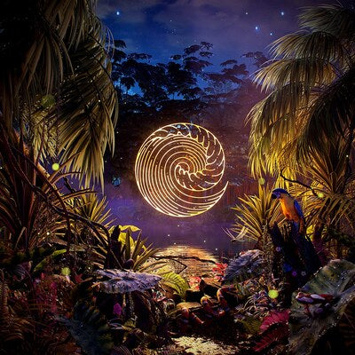 Waves Rush In LP - Under the Static | Buy Now For 44.99
