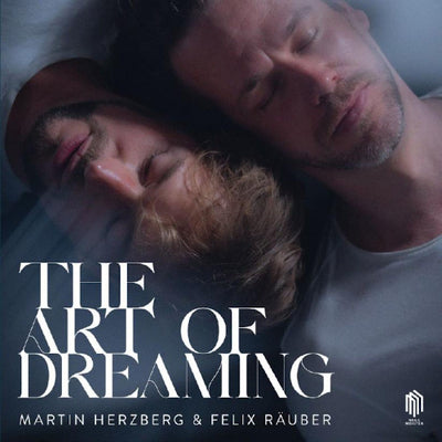 Martin Herzberg Felix Rauber LP - The Art Of Dreaming