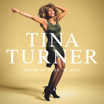 Tina Turner LP - Queen of Rock 'N' Roll | Buy Now For 149.99