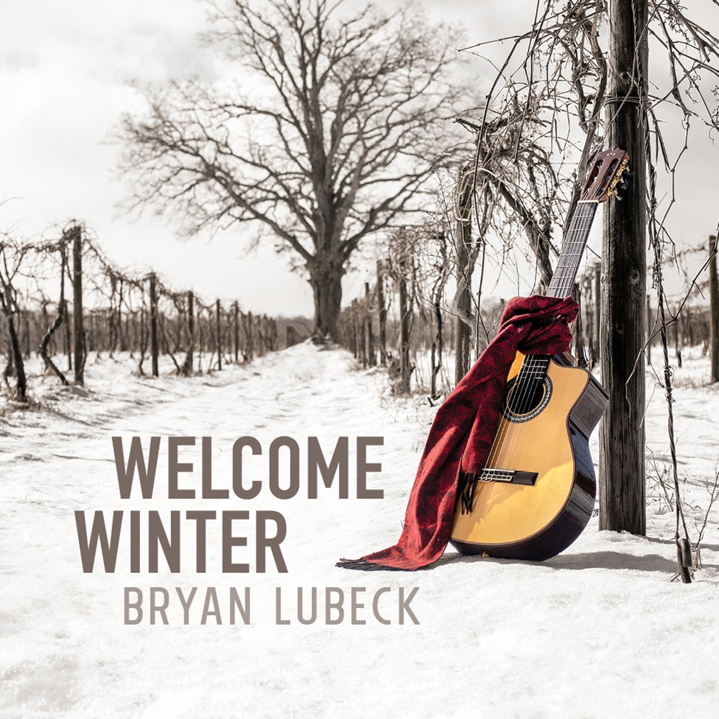 Bryan Lubeck LP - Welcome Winter | Buy Now For 34.99