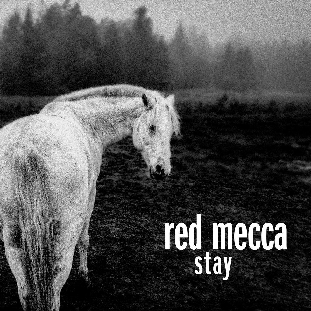 Red Mecca LP - Stay (Clear Vinyl 2Lp) | Buy Now For 54.99