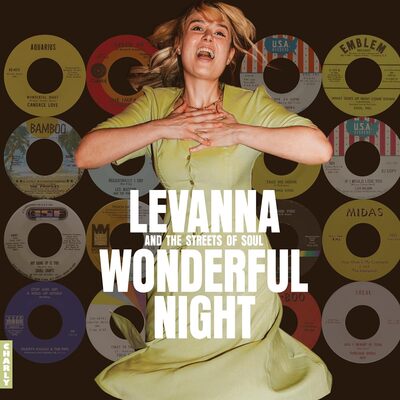 Various Artists LP - Wonderful Night: Curated By Levanna | Buy Now For 39.99