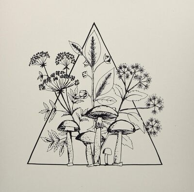 Les Conversions LP - Cassette | Buy Now For 44.99