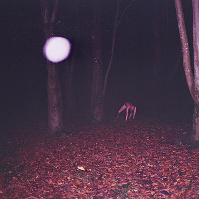 Buzzard Buzzard Buzzard LP - Skinwalker