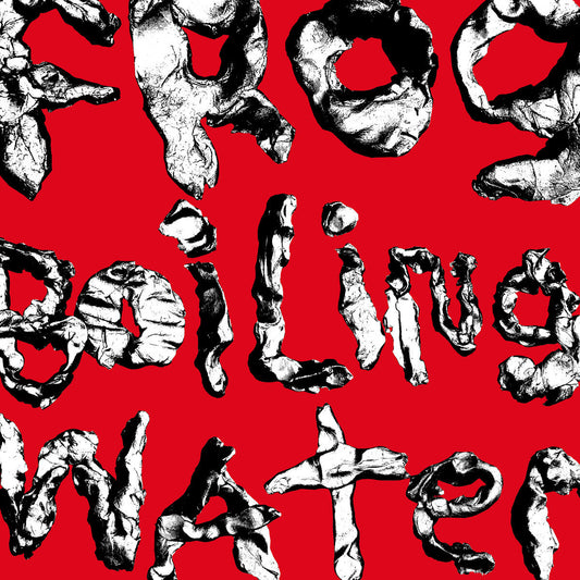 Diiv LP - Frog In Boiling Water