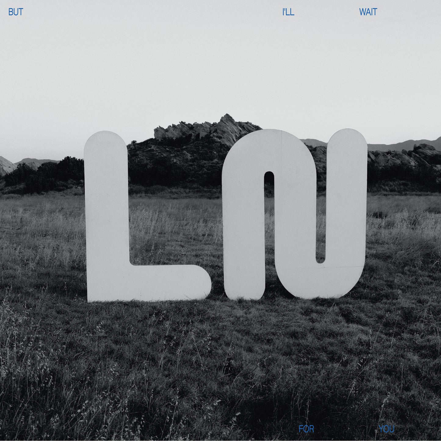 Local Natives LP - But I'Ll Wait For You