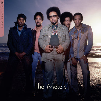 The Meters LP - Now Playing | Buy Now For 44.99