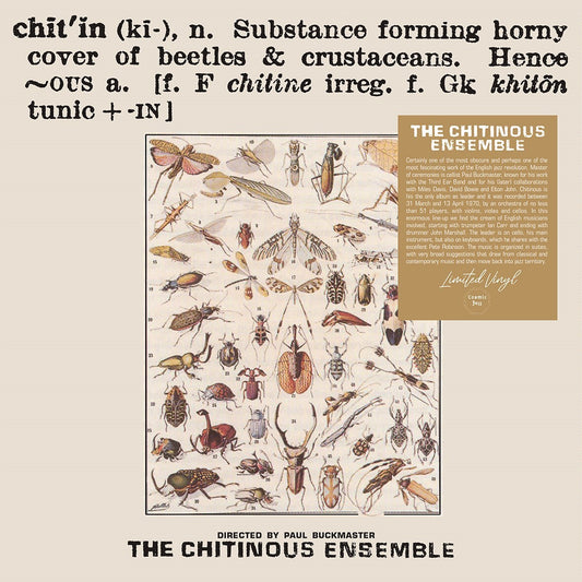 Chitinous Ensemble LP - Chitinous