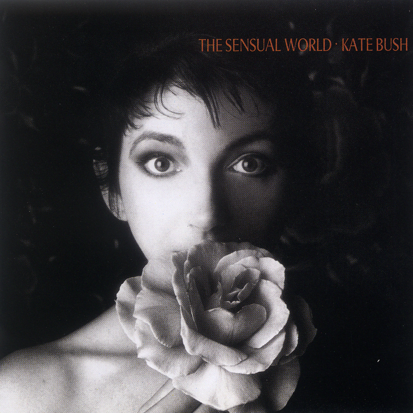 Kate Bush LP - The Sensual World (2018 Remaster)