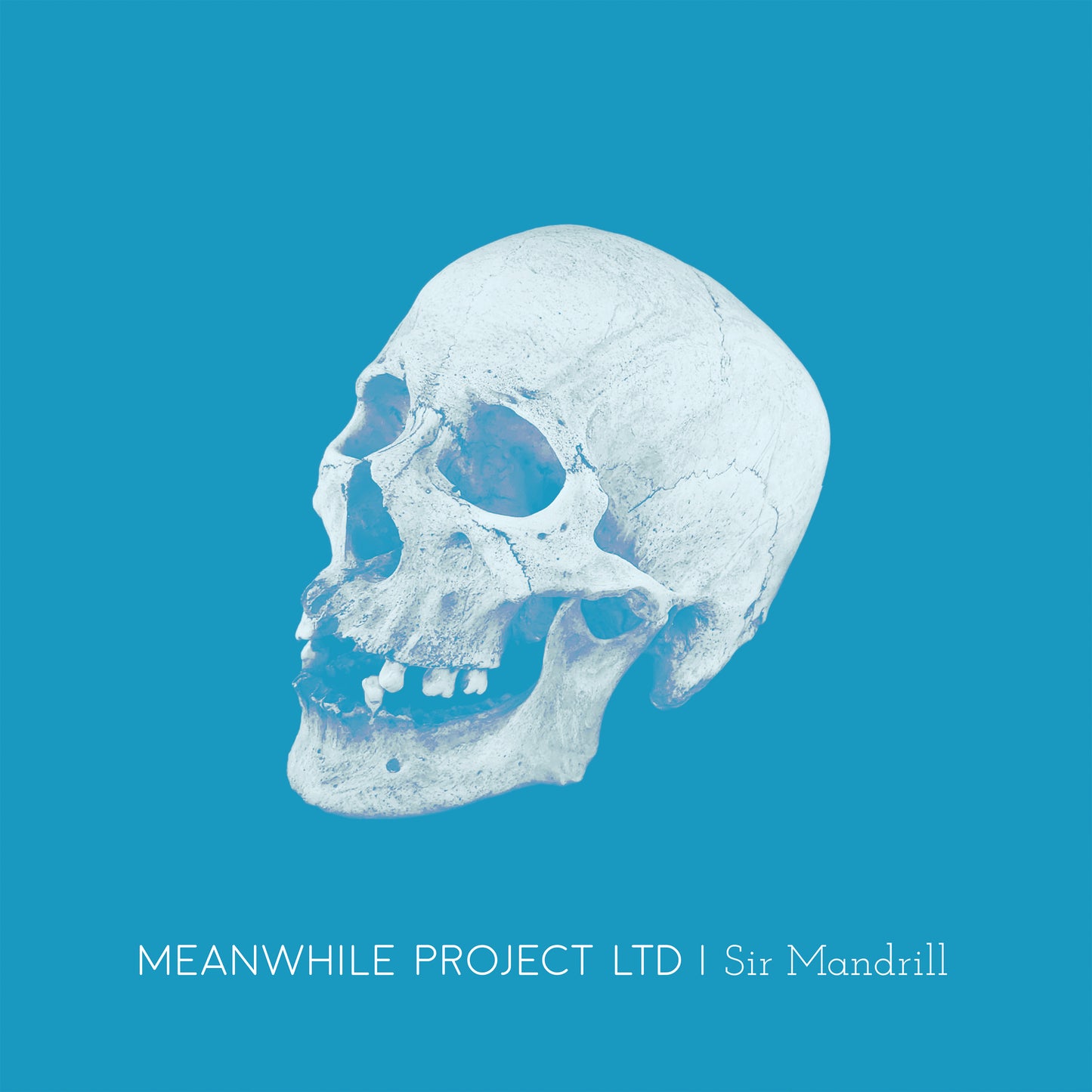 Meanwhile Project Ltd LP - Sir Mandrill | Buy Now For 44.99