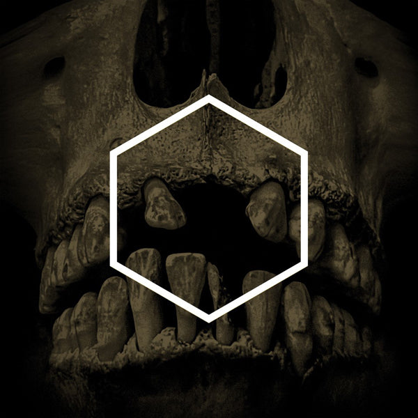 Lustmord & Various Artists LP - The Others (Lustmord Deconstructed) (The Below Edition) | Buy Now For 64.99