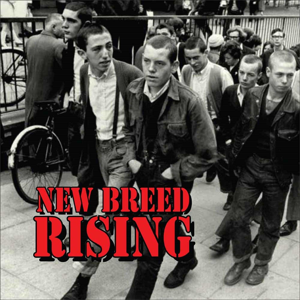 V/A LP - New Breed Rising | Buy Now For 26.99