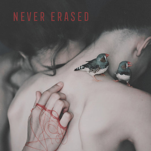 Various Artists LP - Never Erased | Buy Now For 44.99