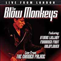 Blow Monkeys DVD - Live From London | Buy Now For 19.99