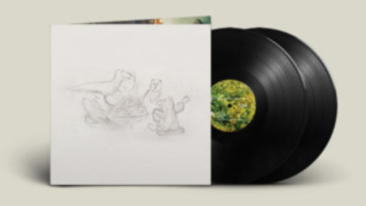 Big Thief LP Vinyl Record - Dragon New Warm Mountain I Believe In You