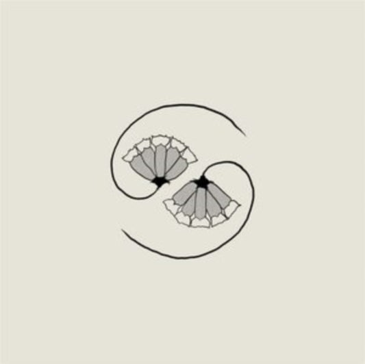 Godspeed You! Black Emperor LP Vinyl Record GD'S Pee At State's End!