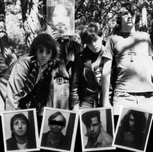 The Dwarves LP - Lick It 1983-86: Limited Edition (2 LP)