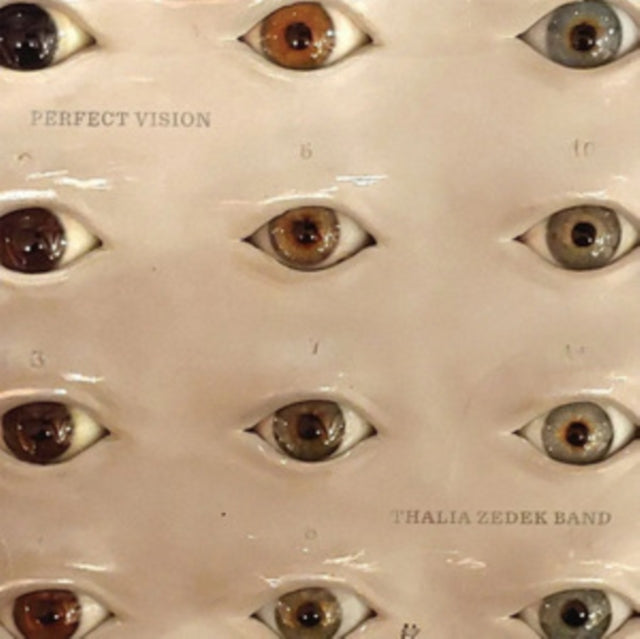 Thalia Zedek Band LP Vinyl Record - Perfect Vision