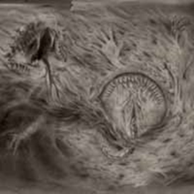 Nidsang CD - Into The Womb Of Dissolving Flames
