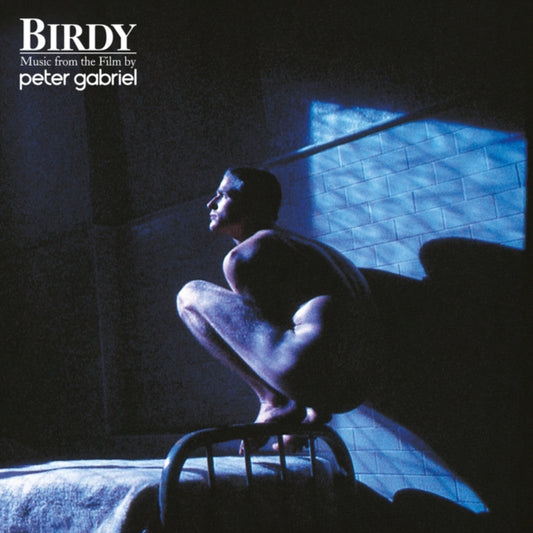 Peter Gabriel LP Vinyl Record - Birdy