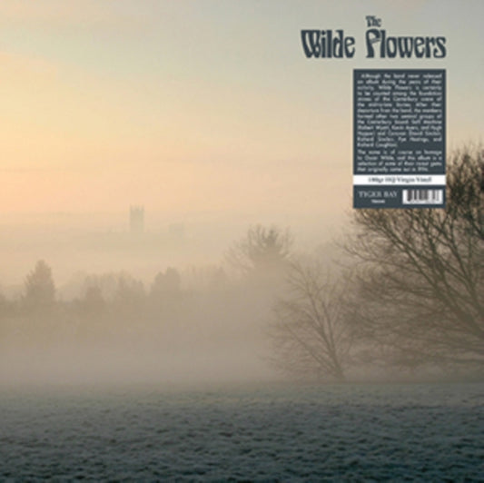 Wilde Flowers LP - The Wilde Flowers