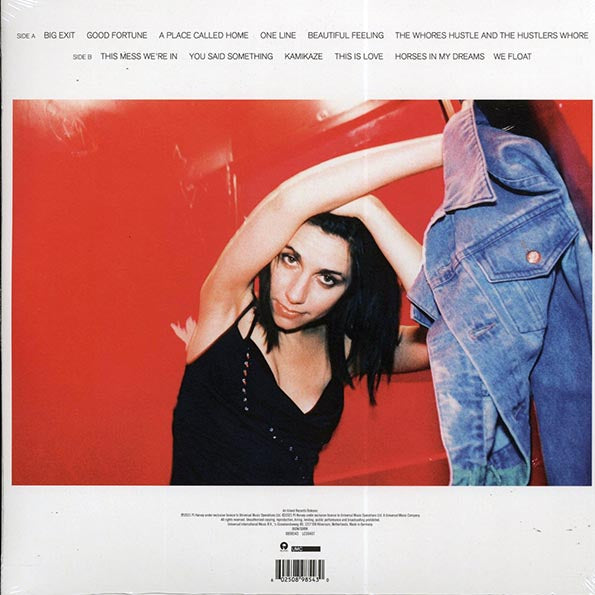 PJ Harvey LP - Stories From The City, Stories From The Sea: Demos (incl. mp3)