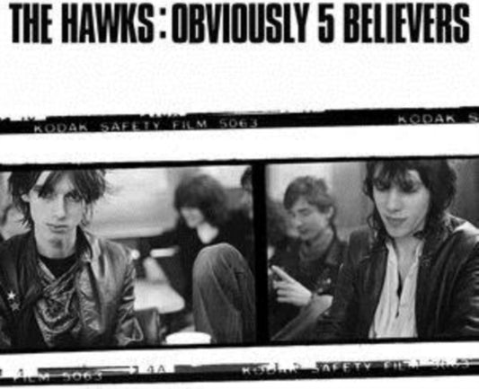 Hawks LP Vinyl Record - Obviously 5 Believers