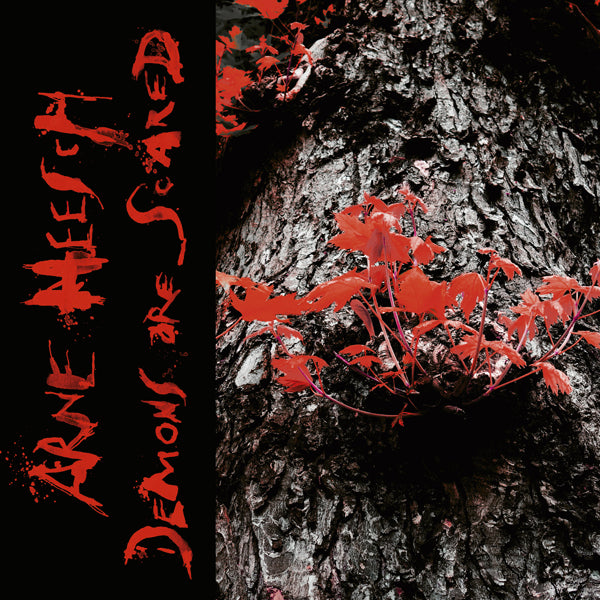 Arne Heesch LP - Demons Are Scared (Lp+Cd) | Buy Now For 38.99