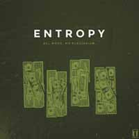 Entropy LP - All Work, No Plagiarism | Buy Now For 23.99