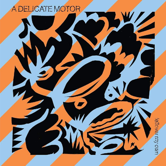 A Delicate Motor LP - Fellover My Own | Buy Now For 35.99