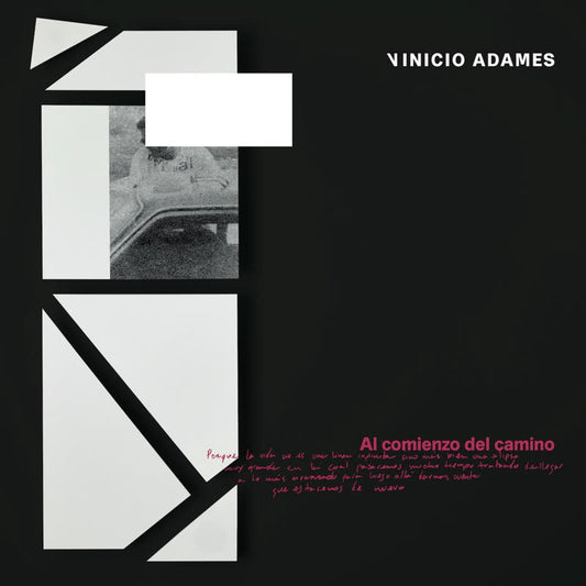 Vinicio Adames LP - El Comienzo Del Camino