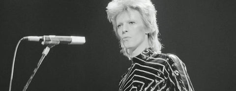 ZINation - David Bowie