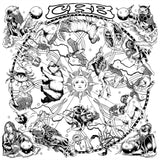 Chris Robinson Brotherhood CD - The Magic Door