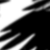 N/Um LP - Ravens