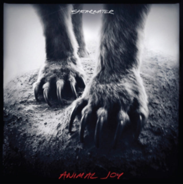 Shearwater CD - Animal Joy