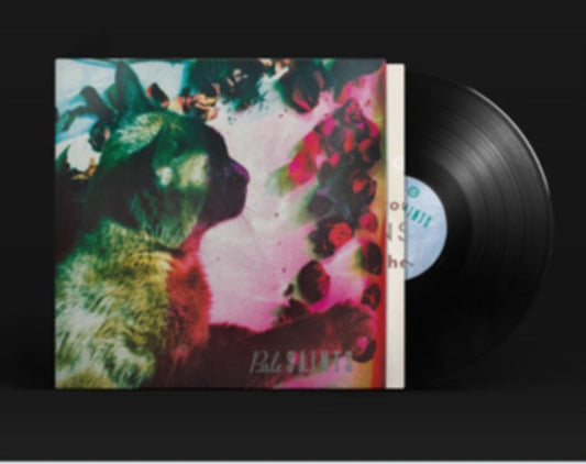 Pale Saints LP - The Comforts Of Madness (30th Anniversary Remastered Edition)