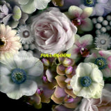 Alpines CD - Full Bloom
