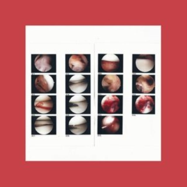 Cradle The LP - Laughing In My Sleep